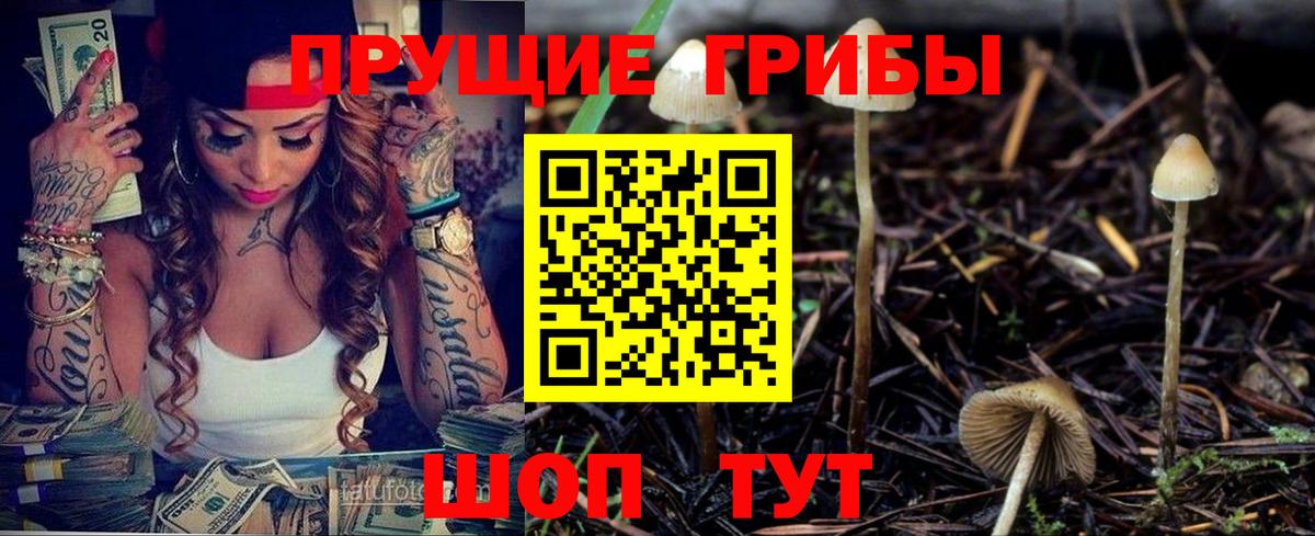Галлюциногенные грибы Cubensis Бутурлиновка