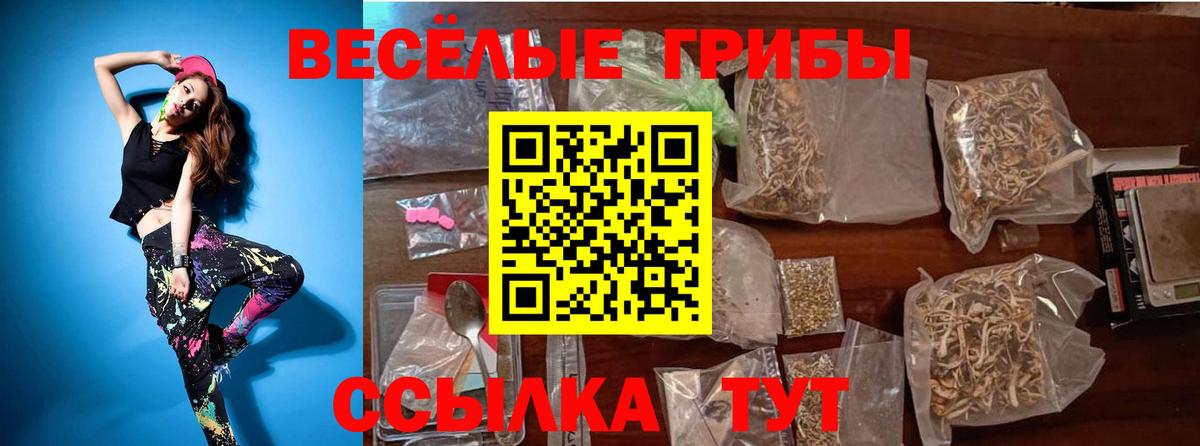 Бутурлиновка  Галлюциногенные грибы Psilocybe  Вход с VPN 